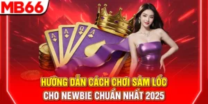 18 huong dan cach choi sam loc cho newbie chuan nhat 2025 300x150 1