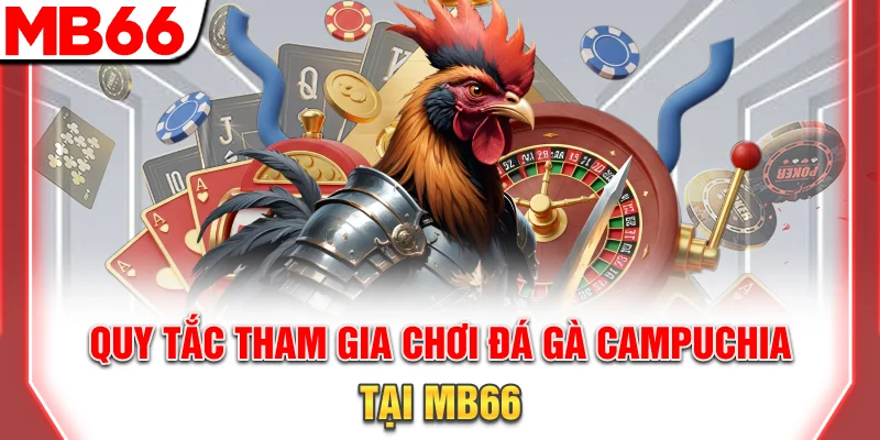 Đá Gà Campuchia - Hướng Dẫn Tham Gia Chuyên Nghiệp 8 Quy tắc tham gia chơi đá gà Campuchia tại MB66